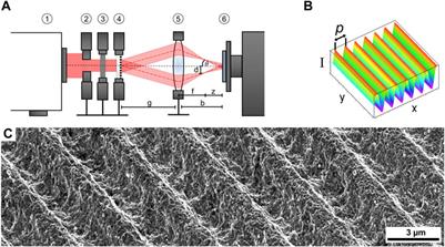 Microstructure versus topography: the impact of crystallographic substrate modification during ultrashort pulsed direct laser interference patterning on the antibacterial properties of Cu